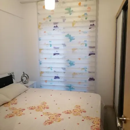 Havuzlu Tatil Evi , Butterflies House
